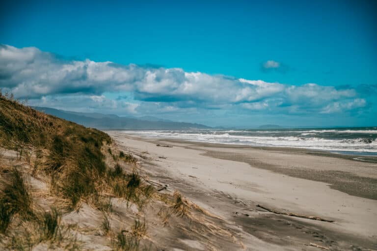 A Wild And Rugged Beach West Coast Of New Zealand
