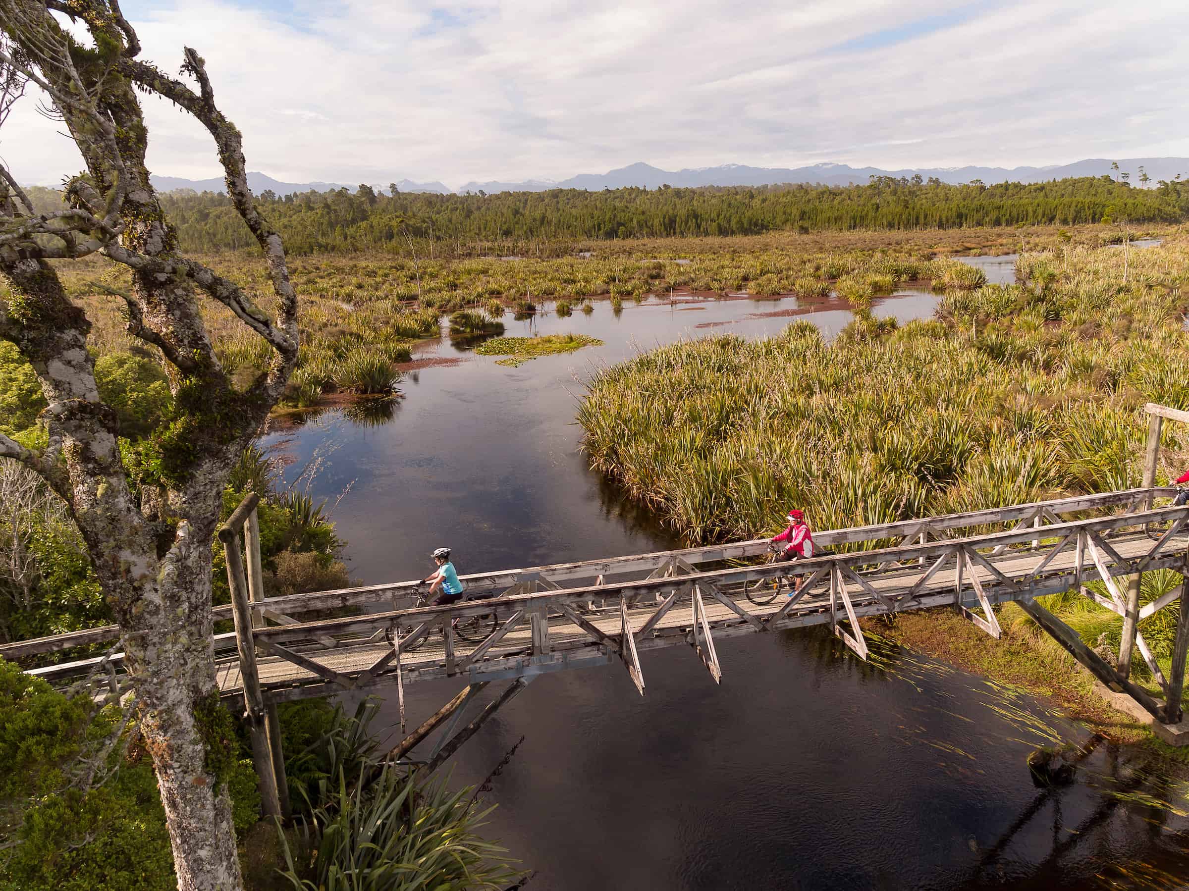 Mountain Bikers Crossing A Suspension Bridge Over The Lake Mahinapua Lagoon On The Mananui Tramway 