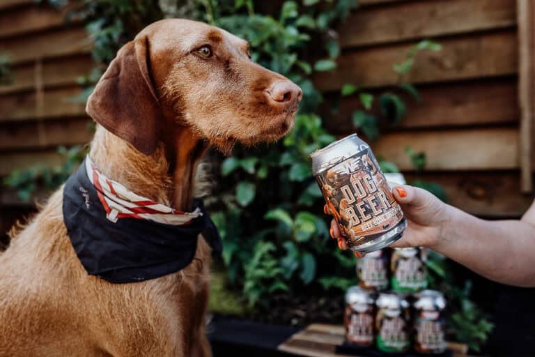 Dog-Beer-Lake-Mahinapua-Hotel