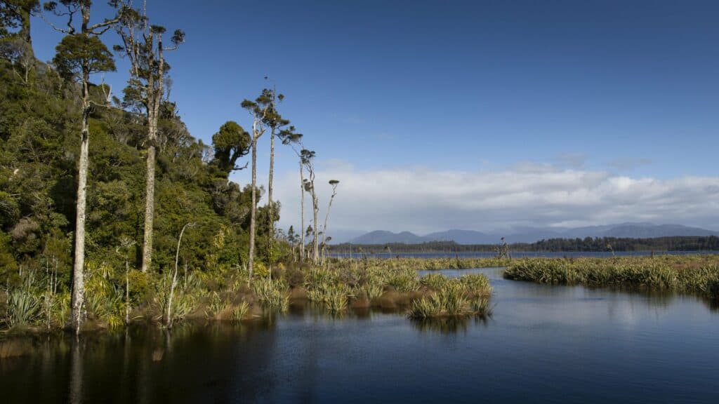 Lake Mahinapua, Hokitika, West Coast