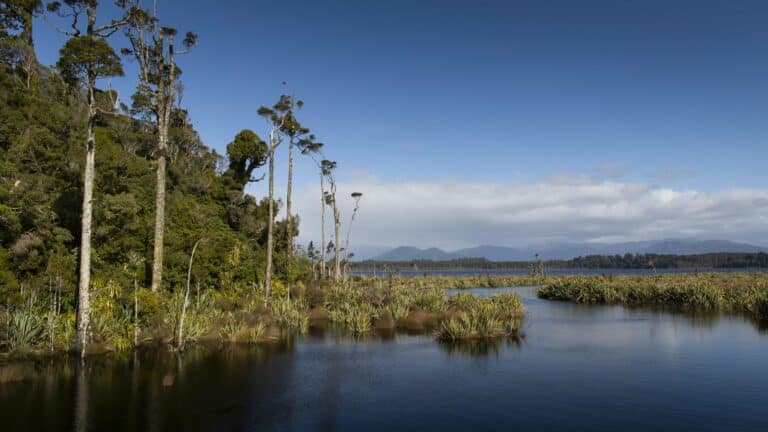 Lake Mahinapua, Hokitika, West Coast