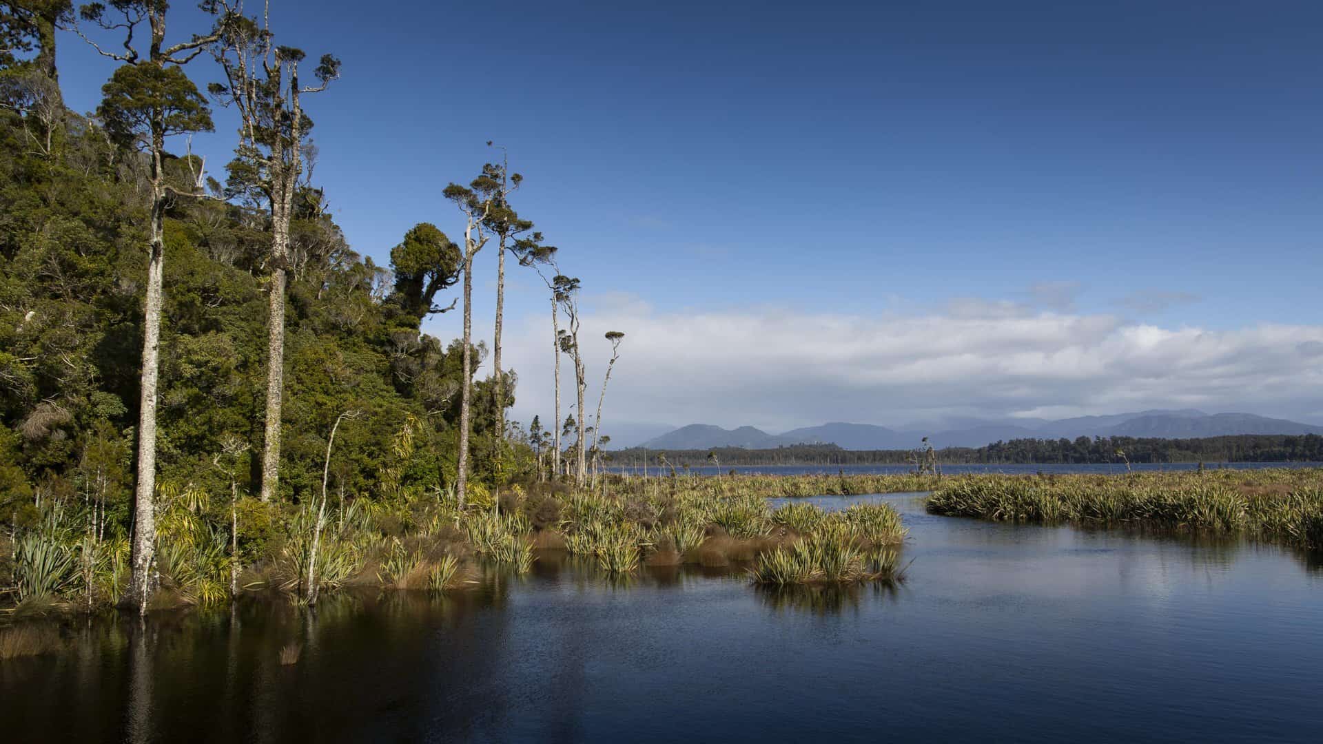 Lake Mahinapua, Hokitika, West Coast
